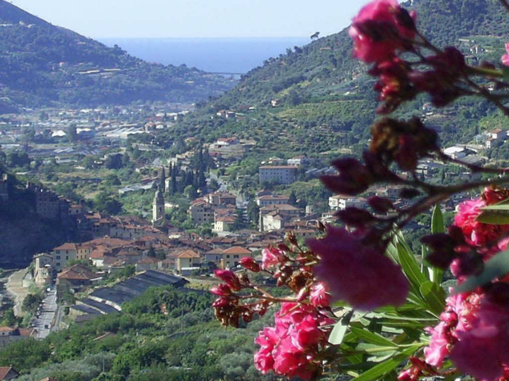 Vrijstaand huis op olijfgaard met prachtig zeezicht Ligurië, Vakantie, Vakantiehuizen | Italië, Aan zee, Ligurië of Bloemenrivièra