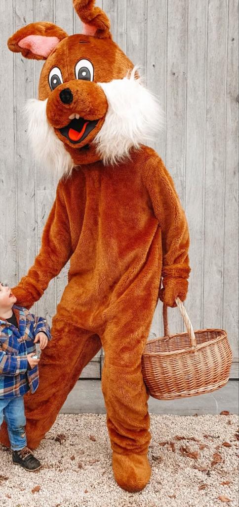 Paashaas kostuum mascotte pak, Ophalen of Verzenden, Zo goed als nieuw