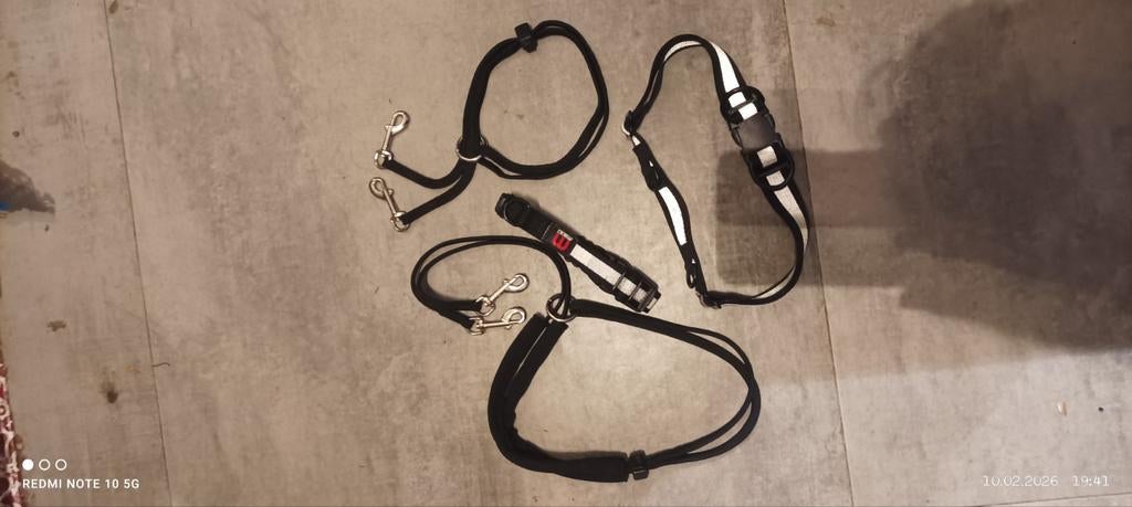 Honden halsbanden, halti, tuigen, loop/sleeplijn en meer, Dieren en Toebehoren, Honden-accessoires, Ophalen of Verzenden
