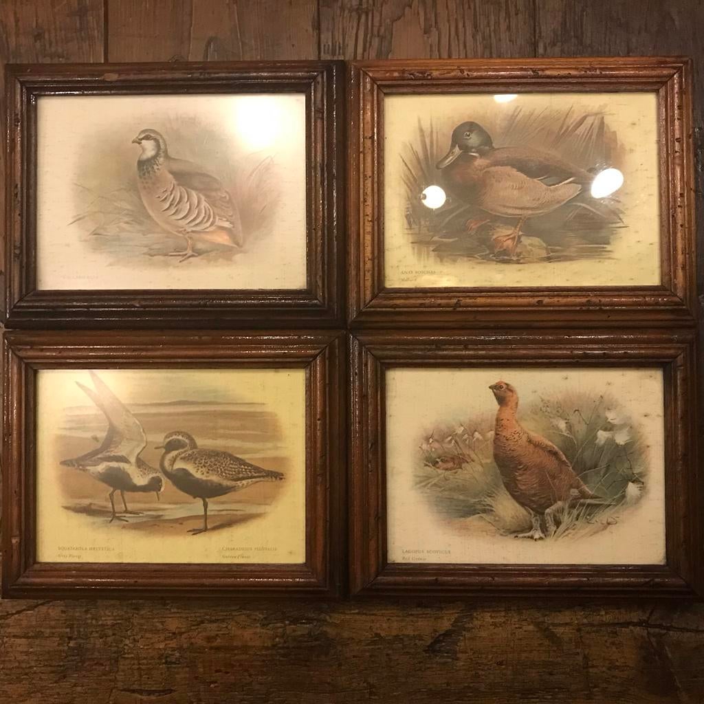 Vier Schilderijtjes Patrijs, Eend, Strandjutter, Patrijs, Antiek en Kunst, Kunst | Tekeningen en Foto's, Ophalen of Verzenden