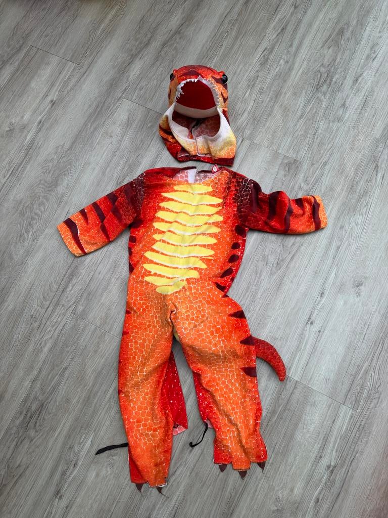 Dinosaurus / Drakenpak carnaval 4-6 jaar, Kinderen en Baby's, Carnavalskleding en Verkleedspullen, Ophalen of Verzenden, Zo goed als nieuw