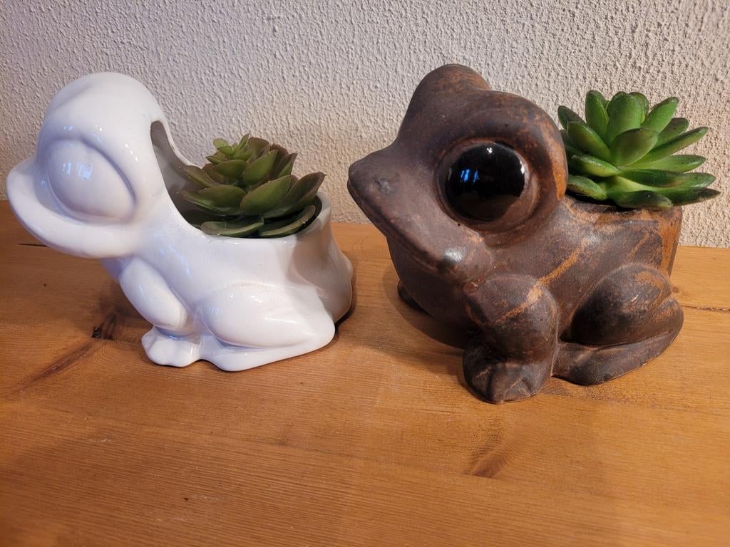 Kikkerpot kikkerpotje kikkerbloempot potje bloempotje, Rond, Ophalen of Verzenden, Zo goed als nieuw, Balkon