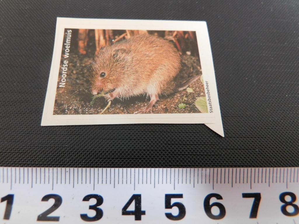 sticker staatsbosbeheer foto noordse woelmuis, Ophalen, Zo goed als nieuw