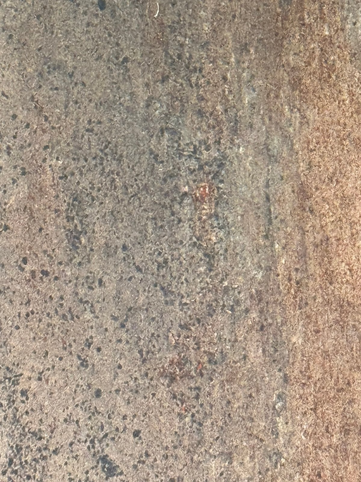3x terras en trends Blatramica Corten Steel 60x60x4, Ophalen, Keramiek, Nieuw, Minder dan 5 m²