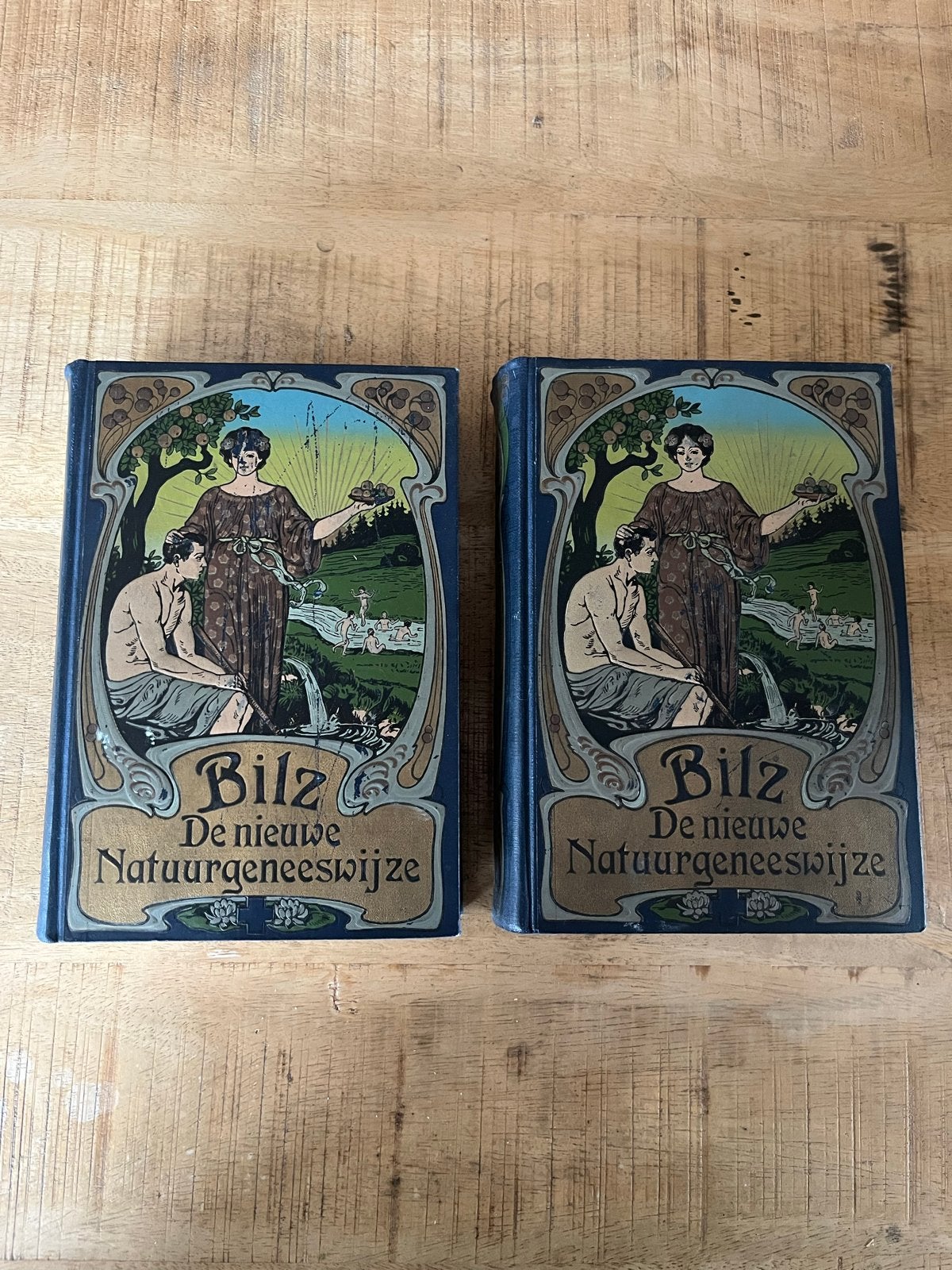 Bilz: De Nieuwe Natuurgeneeswijze (2 delen), Ophalen of Verzenden, Gelezen, Kruiden en Alternatief