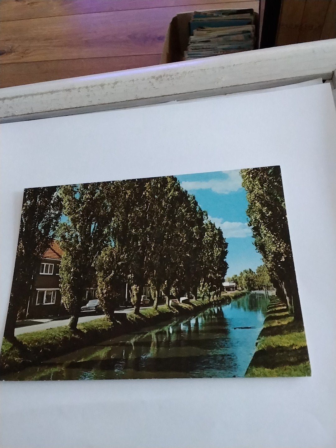 Ansichtkaart Sassenheim, De Zandsloot -, Ophalen of Verzenden, 1960 tot 1980, Gelopen, Zuid-Holland
