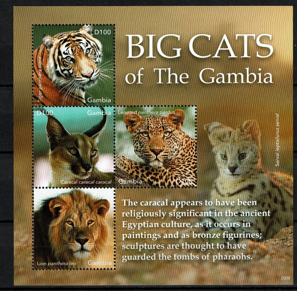 GAMBIA 2020 PF BLOK KATACHTIGEN WILDLIFE ZOOGDIEREN BIG CATS, Ophalen of Verzenden, Postfris, Dier of Natuur