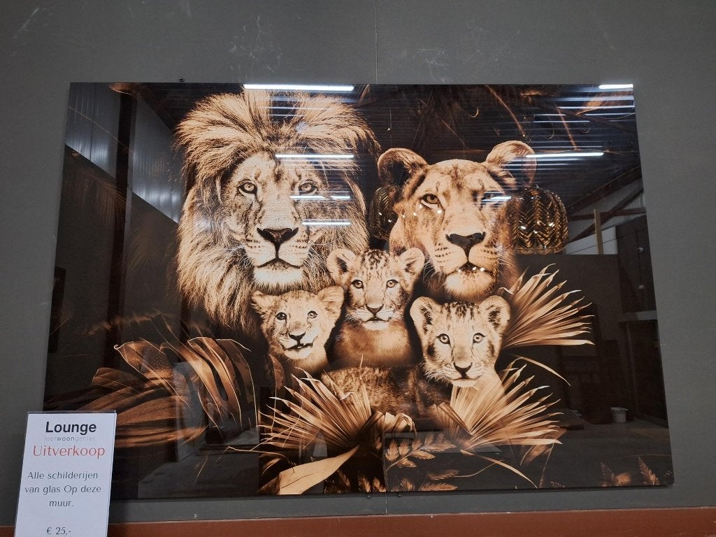 Diverse glasschilderijen Weekendknaller!!!, Huis en Inrichting, Ophalen, Nieuw, Minder dan 50 cm, Schilderij