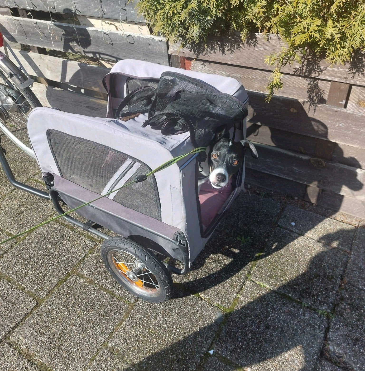 fietskar hond, Ophalen, Gebruikt, Minder dan 20 kg, Opvouwbaar