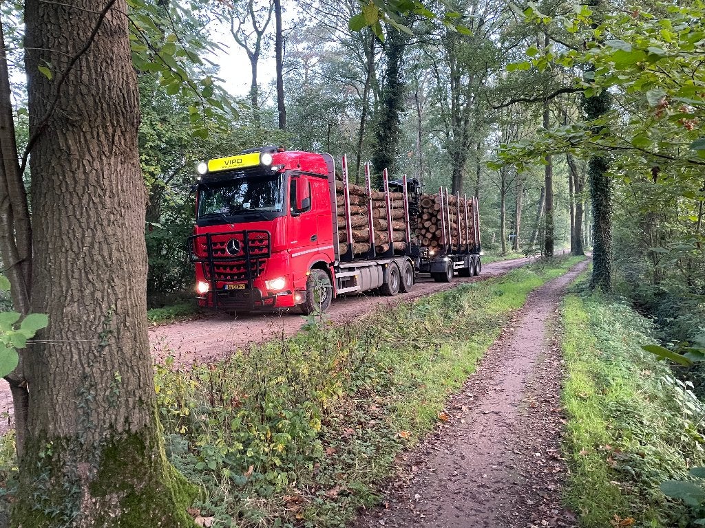 Brandhoutstam  per volle vracht.Prijs in overleg ivm afstand, 6 m³ of meer, Ophalen, Overige houtsoorten, Stammen
