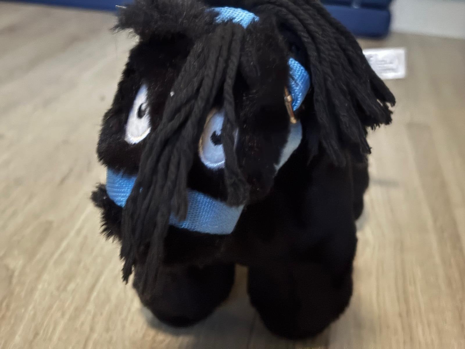 Crafty pony halster blauw maat veulen, Ophalen, Zo goed als nieuw