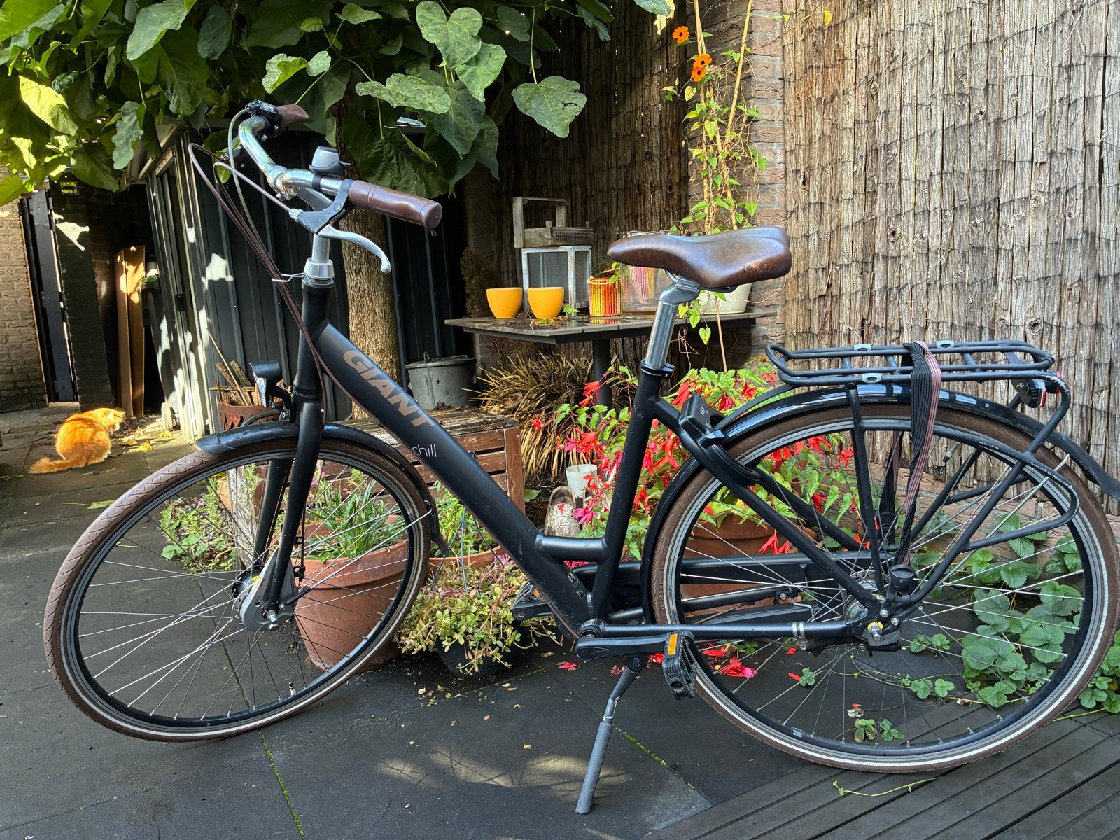 Mooie Giant Chill Damesfiets, Ophalen, Velgrem, Versnellingen, Giant
