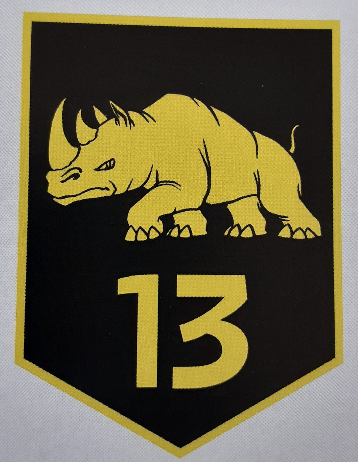 GEZOCHT  DT2000  embleem 13de  Lichte Brigade, Ophalen of Verzenden, Landmacht, Nederland, Embleem of Badge