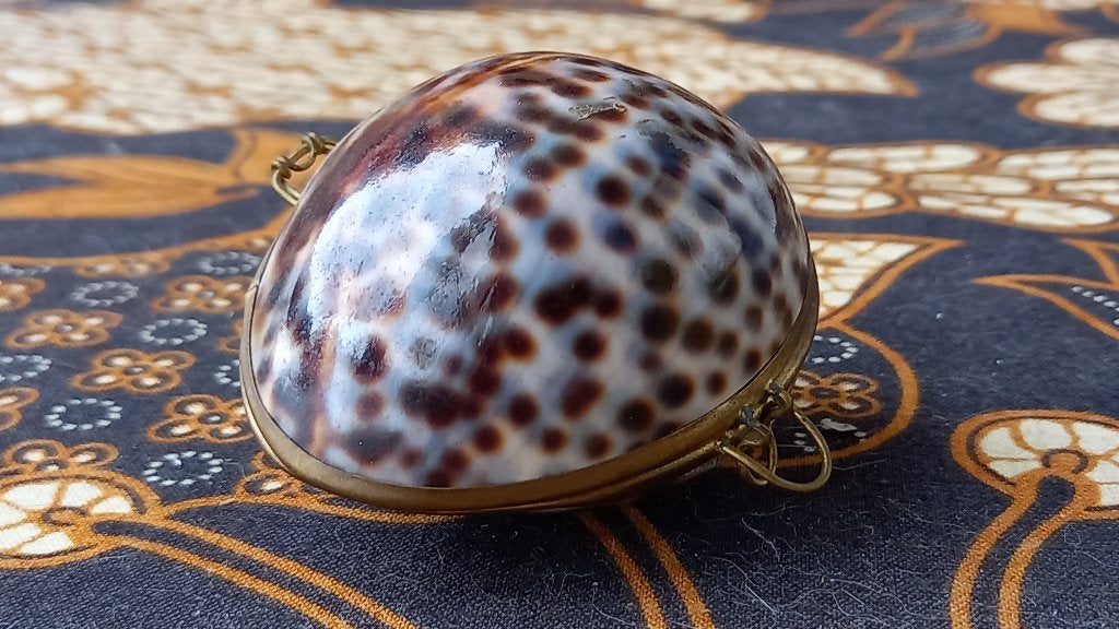 Mooi oud antiek doosje van een caurie schelp en koper 5,5 cm, Antiek en Kunst, Ophalen of Verzenden