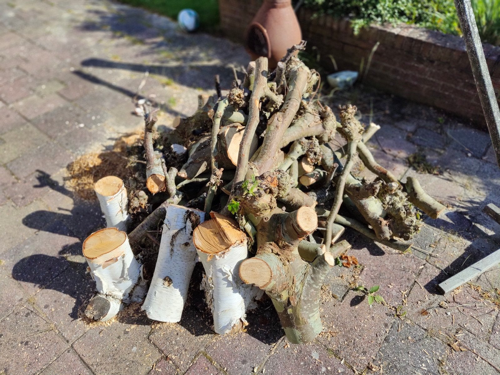 Haardhout, o.a. berk, plataan, hardhout, Ophalen, Hout