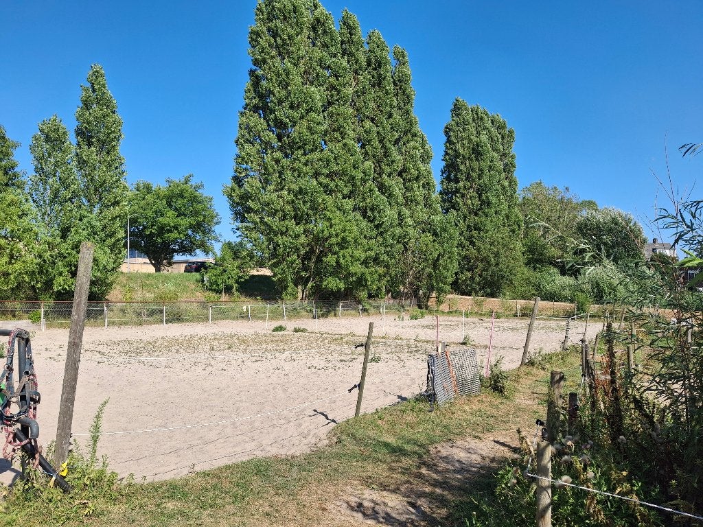 24/7 paddock op stal nabij Aalsmeer, Stalling, 2 of 3 paarden of pony's