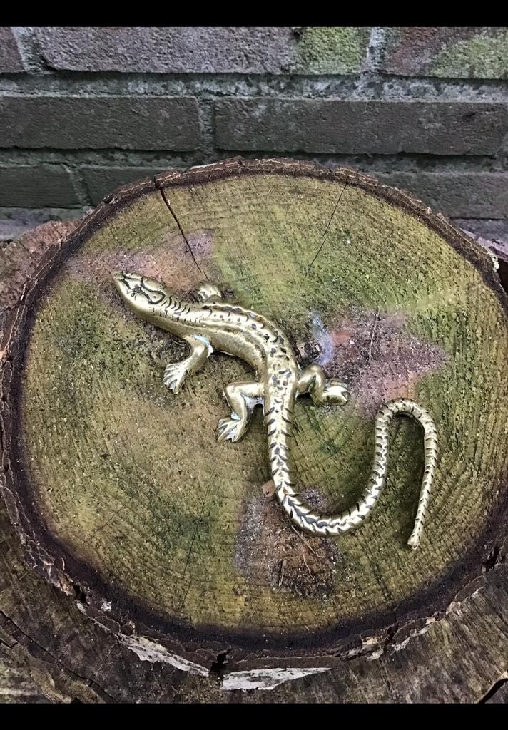 Salamander of hagedis v. geel koper / messing ong 12 cm lang, Antiek en Kunst, Ophalen of Verzenden