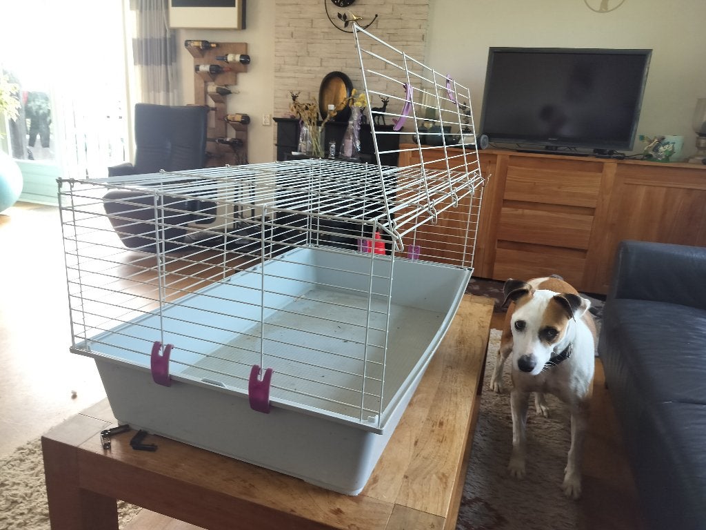 Caviakooi, Minder dan 60 cm, Kooi, Gebruikt, Ophalen of Verzenden