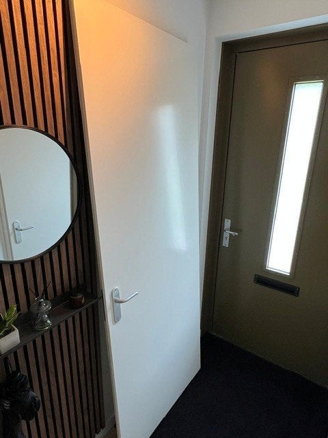 Binnendeur, Doe-het-zelf en Verbouw, Ophalen, 80 tot 100 cm, 215 cm of meer, Binnendeur