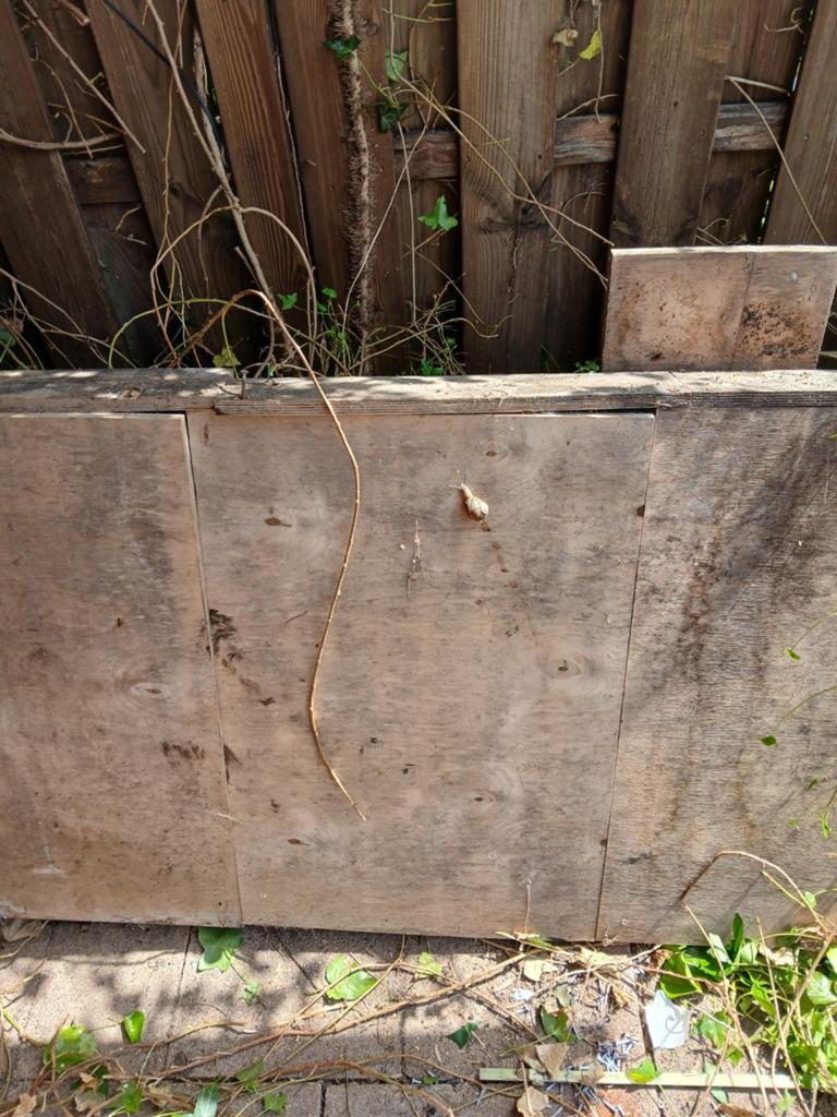 Gratis brandhout planken en balkjes, Ophalen, Gebruikt, Biels, Minder dan 100 cm
