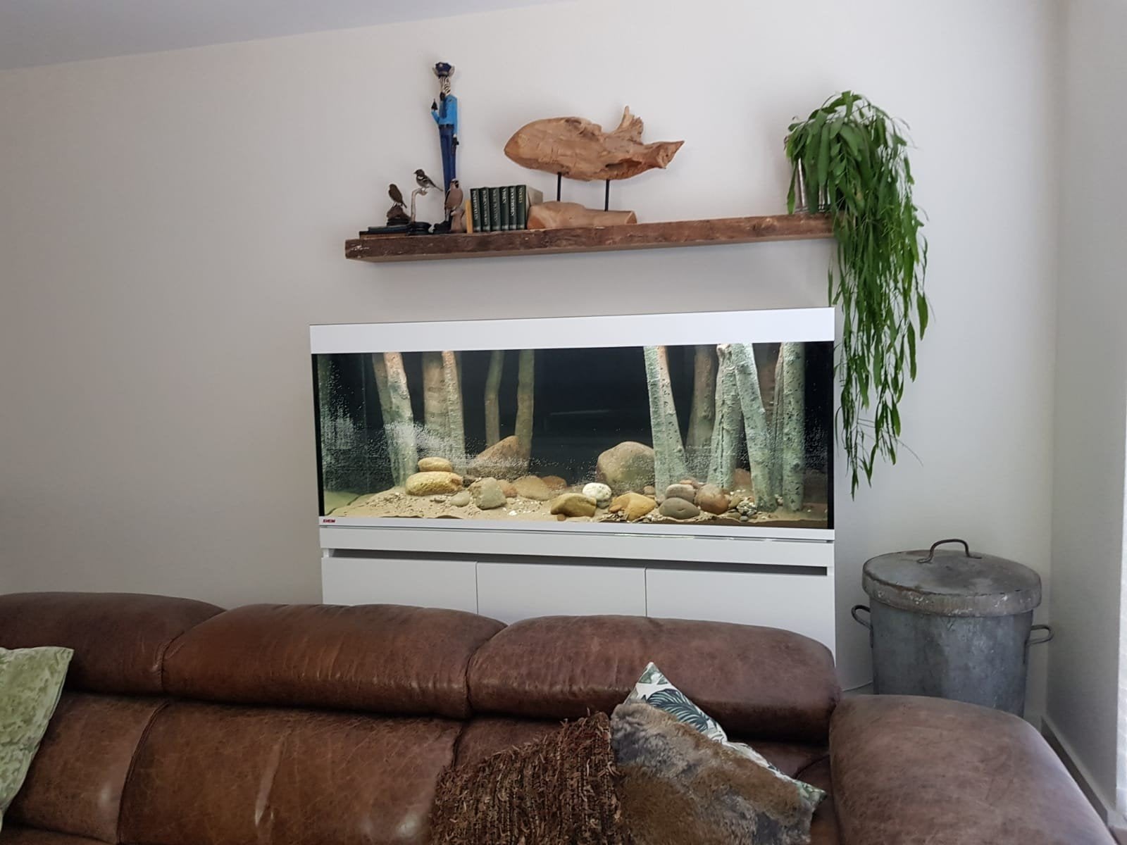 EHEIM Incpiria 530 aquarium (2021) compleet, Ophalen, Gebruikt, Leeg aquarium, Eheim