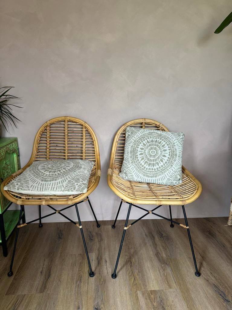 Twee rotan stoelen met stalen frame, Ophalen, Gebruikt, Twee, Bruin
