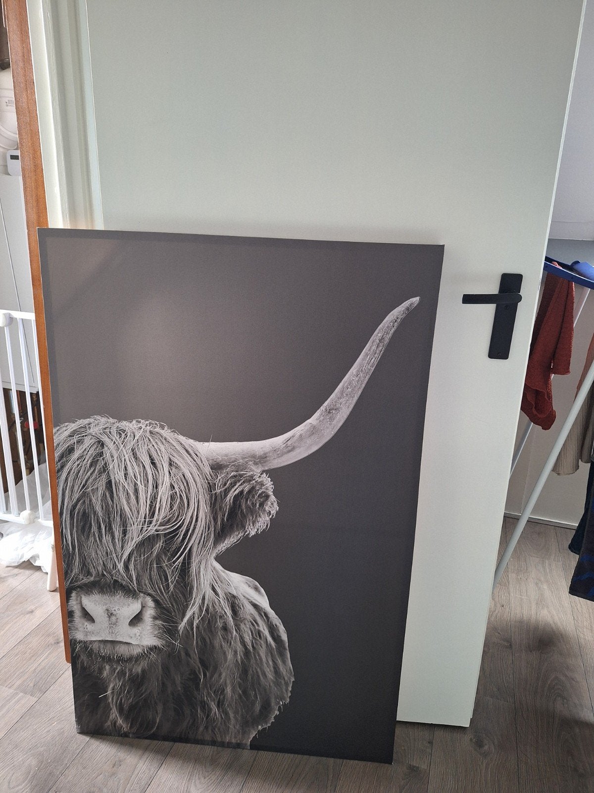Schotse Hooglander, Ophalen of Verzenden, Zo goed als nieuw, Schilderij, 100 tot 125 cm