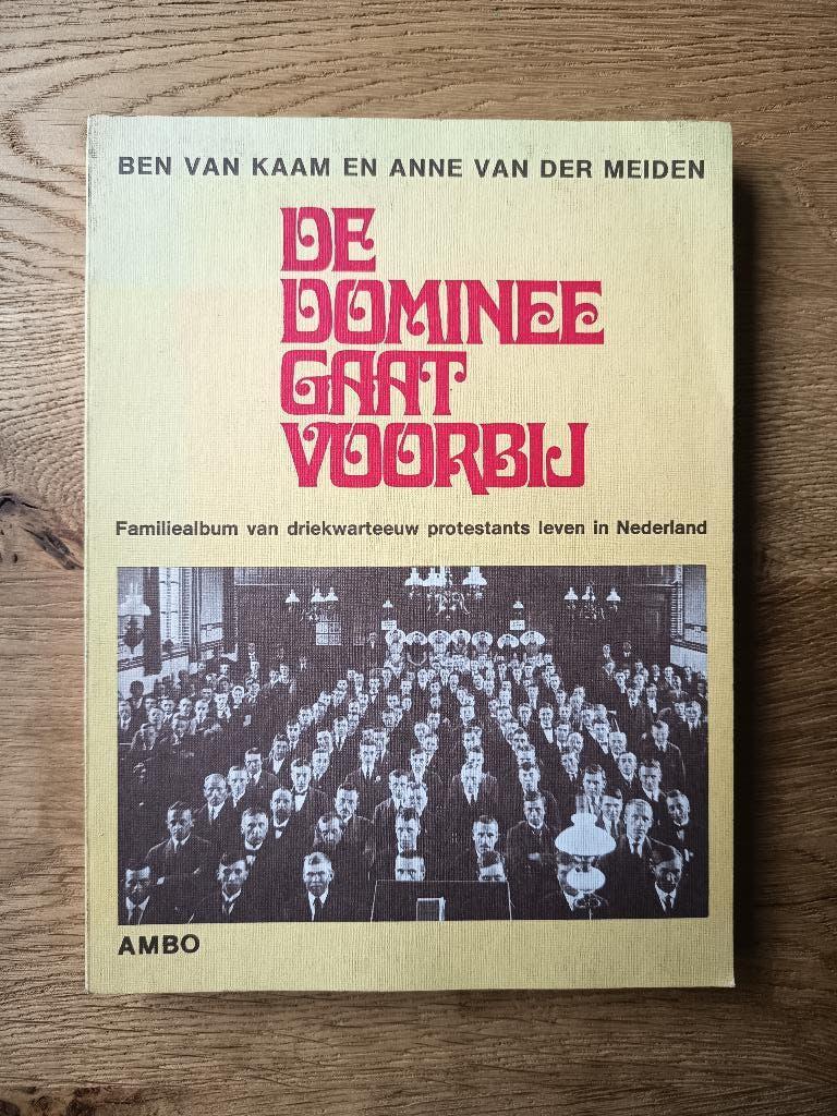Ben van Kaam - Anne van der Meiden - De dominee gaar voorbij, Boeken, Godsdienst en Theologie, Zo goed als nieuw, Christendom | Protestants