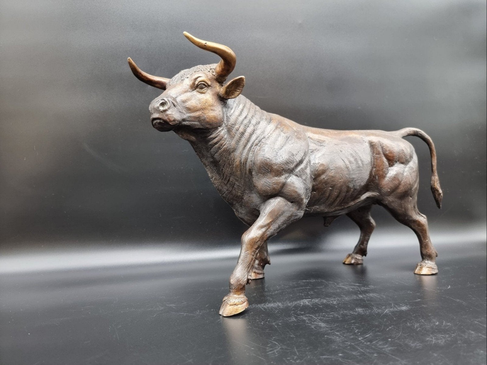 Mooie bronzen stier van topkwaliteit, Ophalen, 20 - 50 cm, Beeld, Bruin