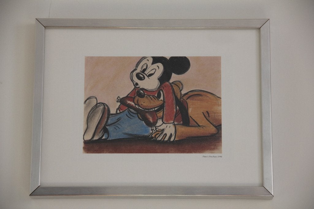 Disney kleurenprints, Minder dan 50 cm, Gebruikt, Ophalen of Verzenden, Print
