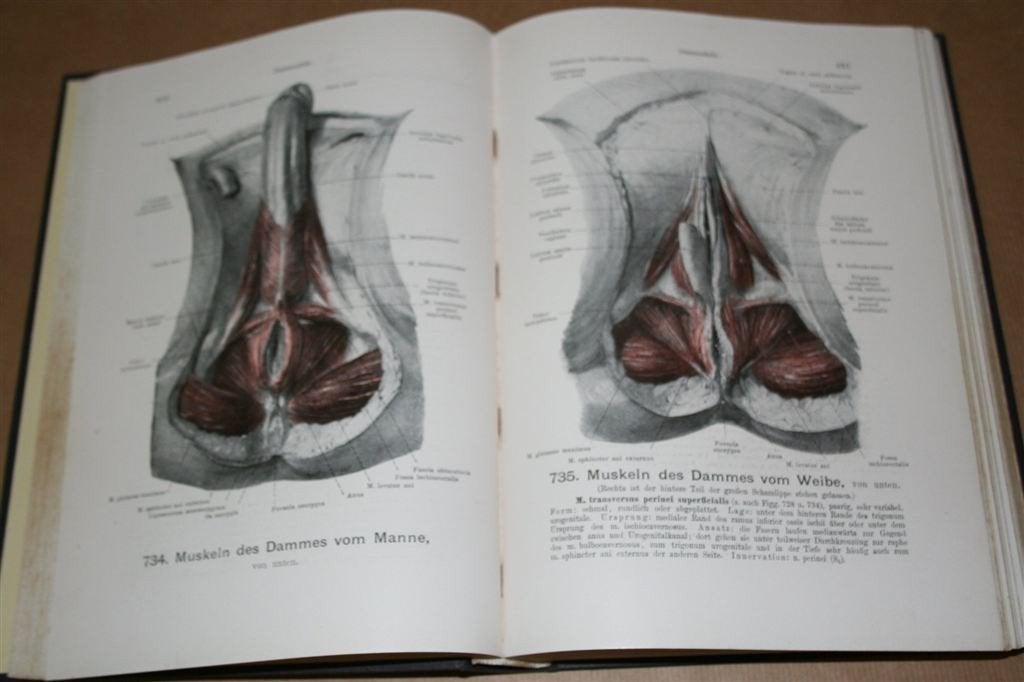 Handatlas Anatomie 3 — Oude uitg. 1920 — rijk geïllustreerd, Ophalen of Verzenden, Gelezen, Natuurwetenschap