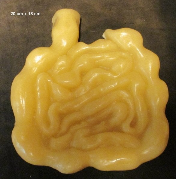 uitzonderlijke wassen ex voto darmstelsel  79, Antiek en Kunst, Verzenden