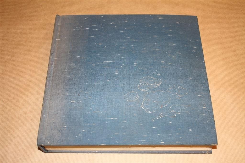 Prachtig boek Schelpen van Mosselen en Slakken., Ophalen of Verzenden, Schelp(en)