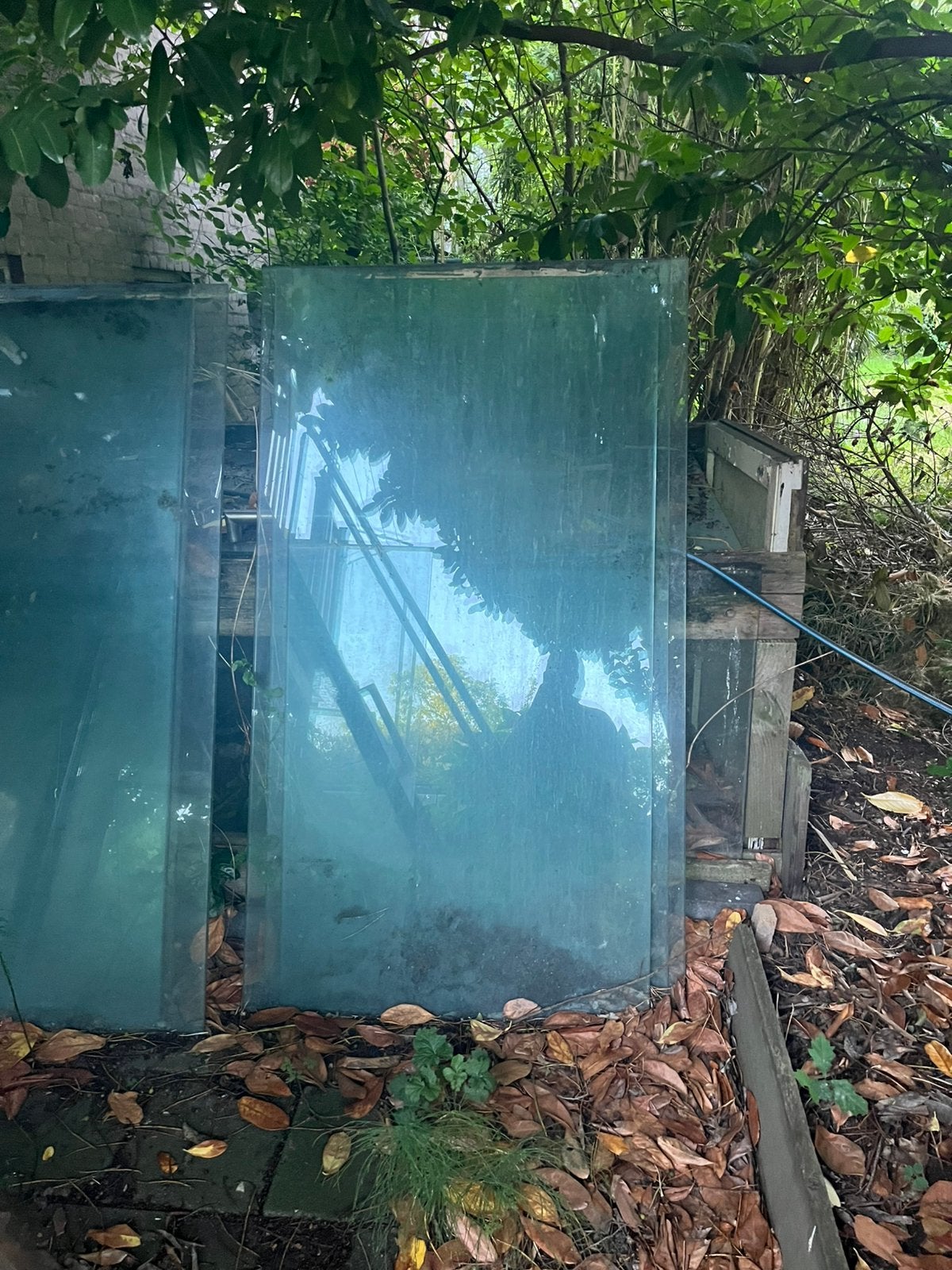 Gratis afhalen - veiligheid glas voor een kas, Ophalen, Gebruikt, Muurkas, Glas