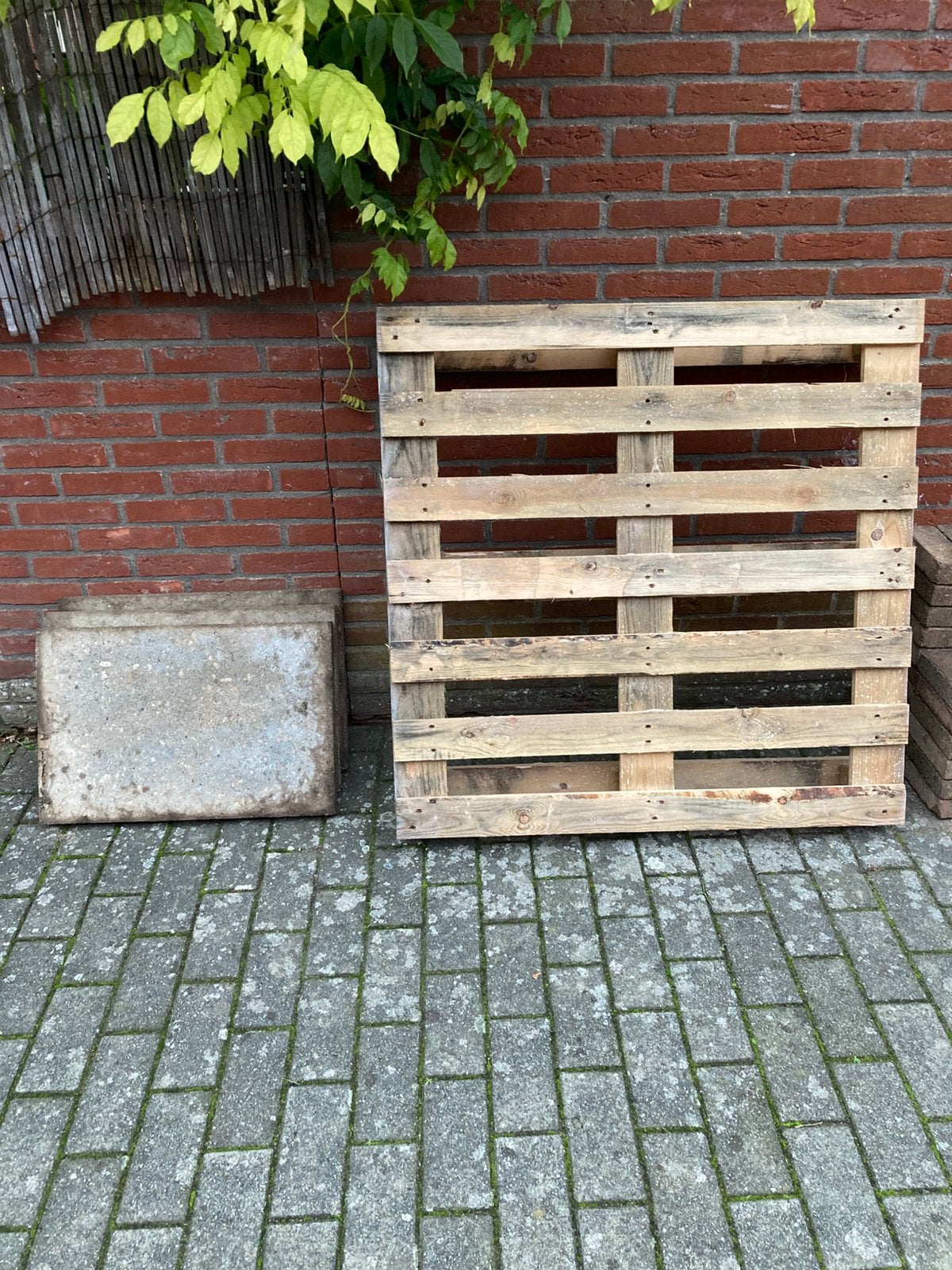 Betontegels gratis, Ophalen, Zo goed als nieuw, Beton, Terrastegels