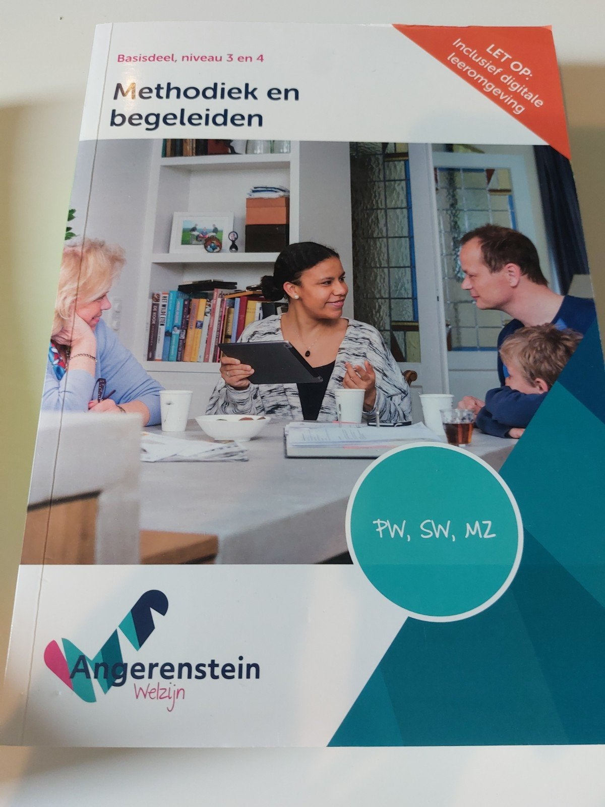 Methodiek en begeleiden - Angerenstein Welzijn, Boeken, Overige vakken, Ophalen of Verzenden, Zo goed als nieuw, Angerenstein