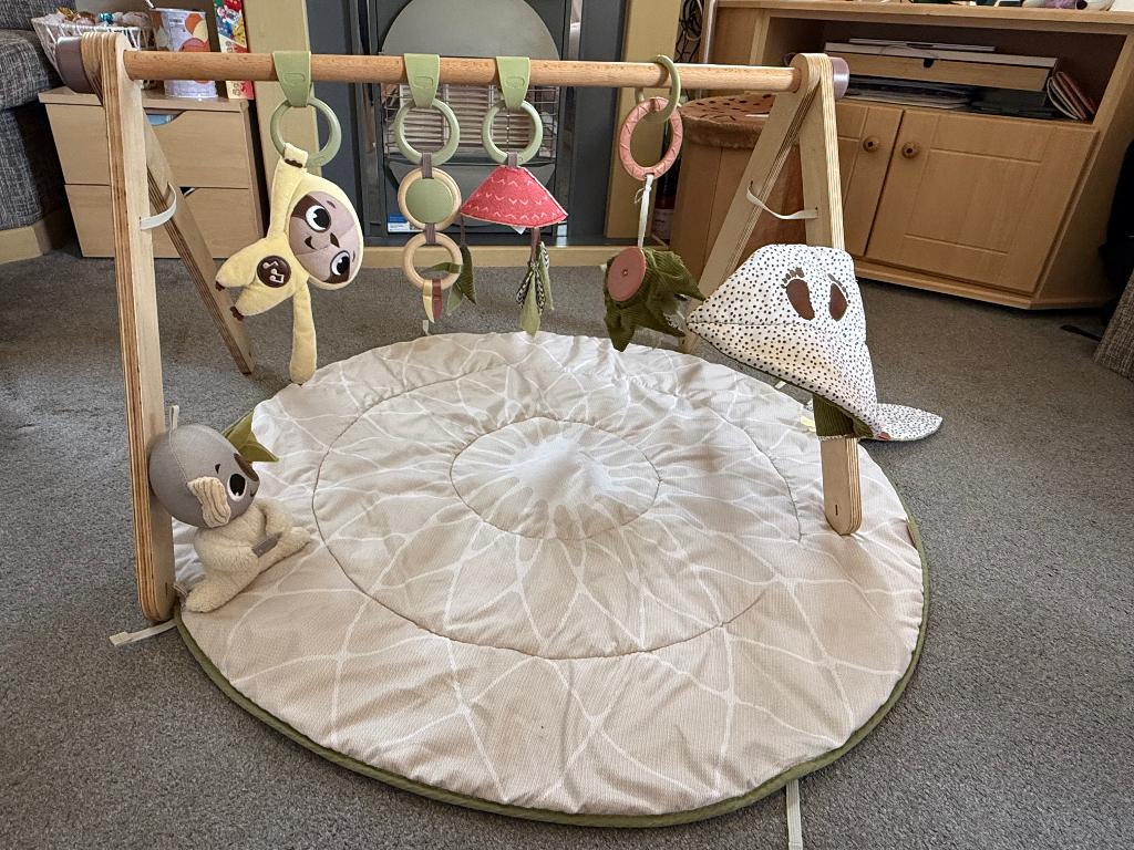 Tiny Love houten baby speelkleed met speelboog, Ophalen, Zo goed als nieuw, Babygym