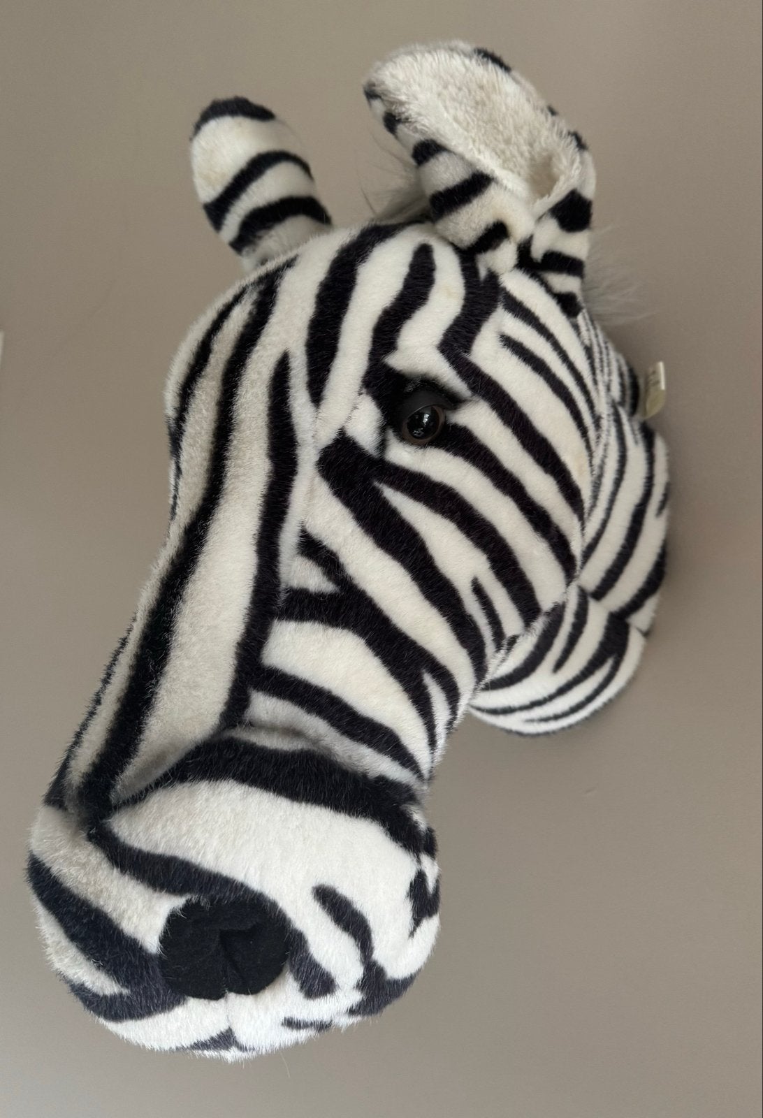 4x Pluche Dierenkoppen voor aan de Muur - merk Bibib, Overige merken, Overige karakters, Overige typen, Ophalen of Verzenden