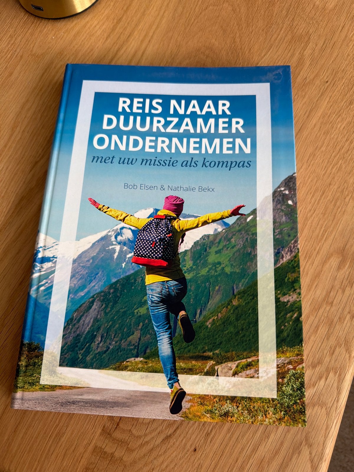 Reis naar duurzamer ondernemen - Bob Elsen & Nathalie Bekx, Ophalen of Verzenden, Gamma, Nieuw, Overige niveaus