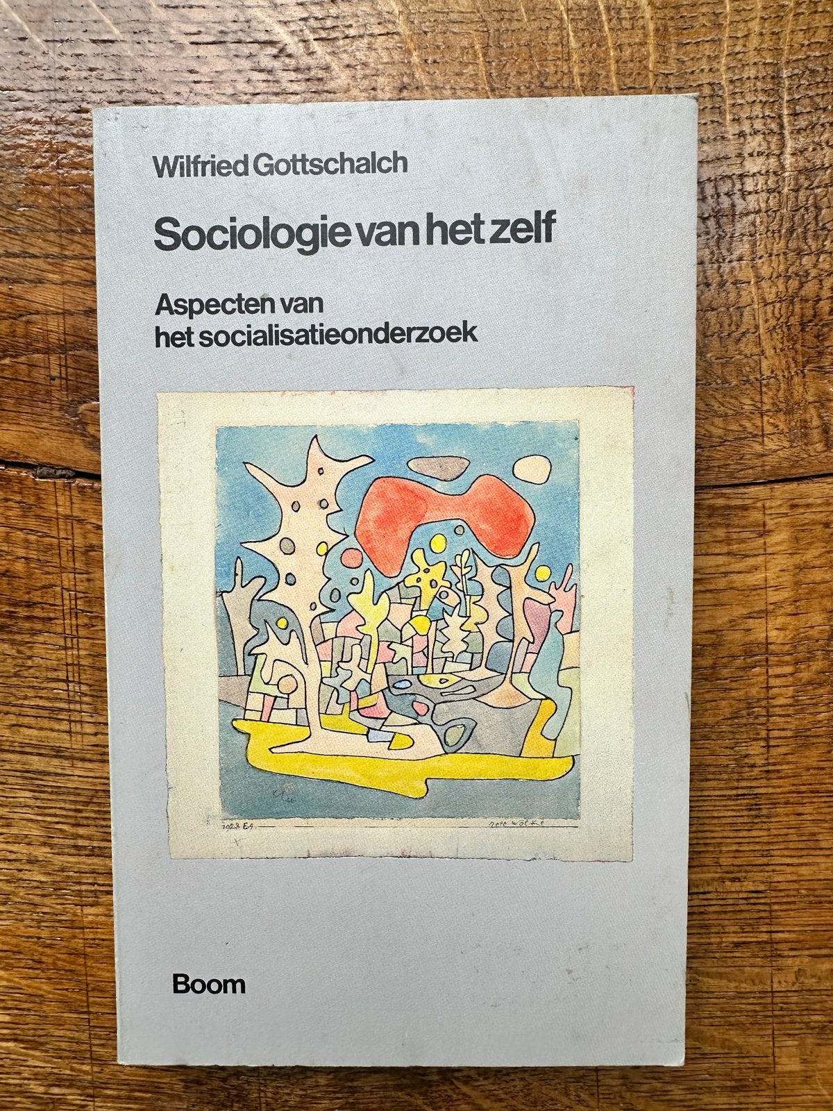 Sociologie van het zelf - Wilfried Gottschalch, Ophalen of Verzenden, Gamma, WO