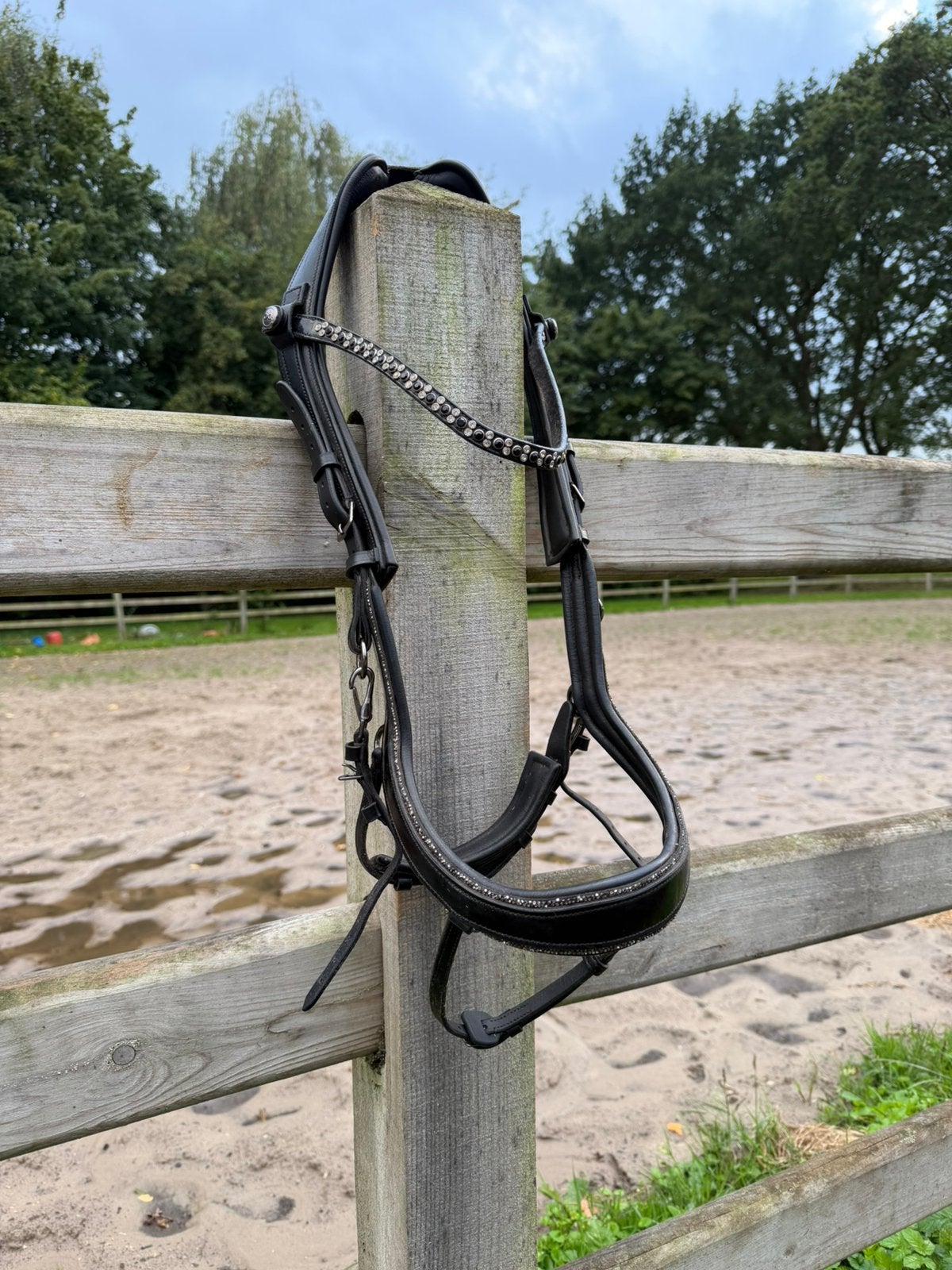 Presteq glitter maat full, Ophalen of Verzenden, Verstelbaar, Full, Frontriem