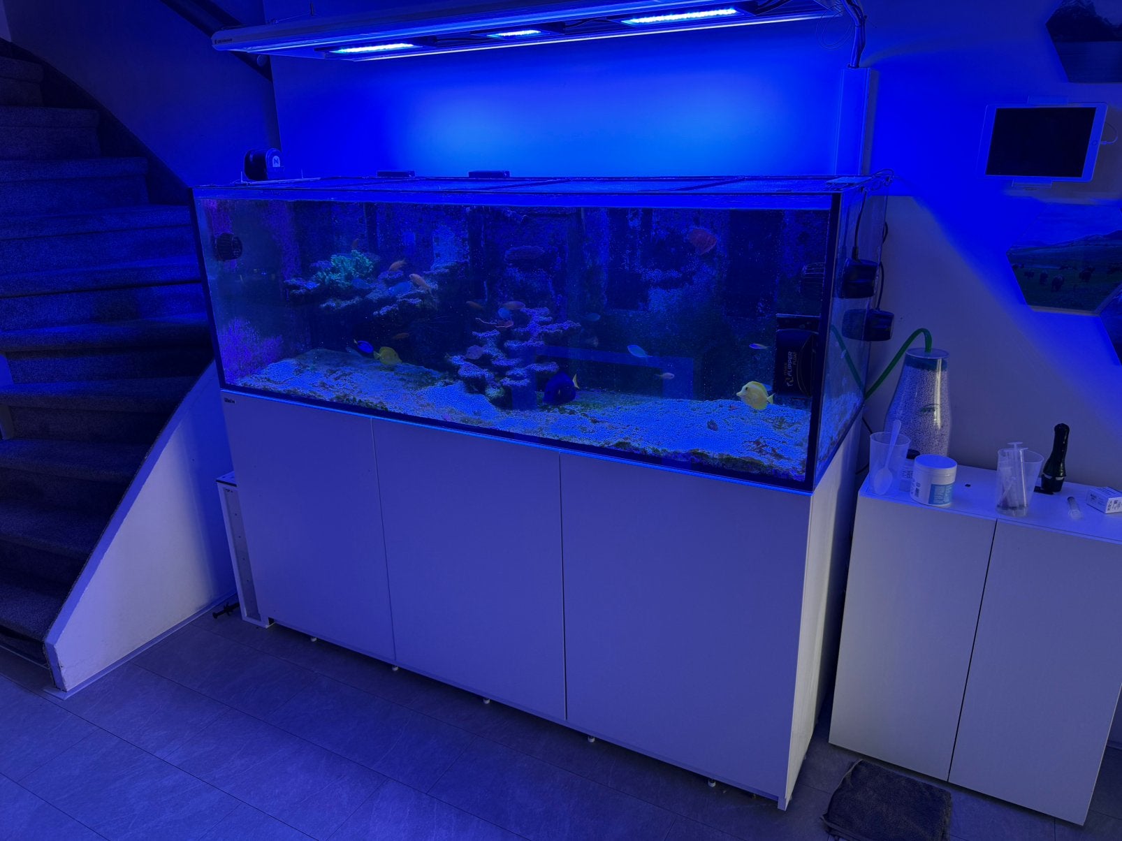 Red sea 750XXL, Ophalen, Gebruikt, Leeg aquarium, Red Sea