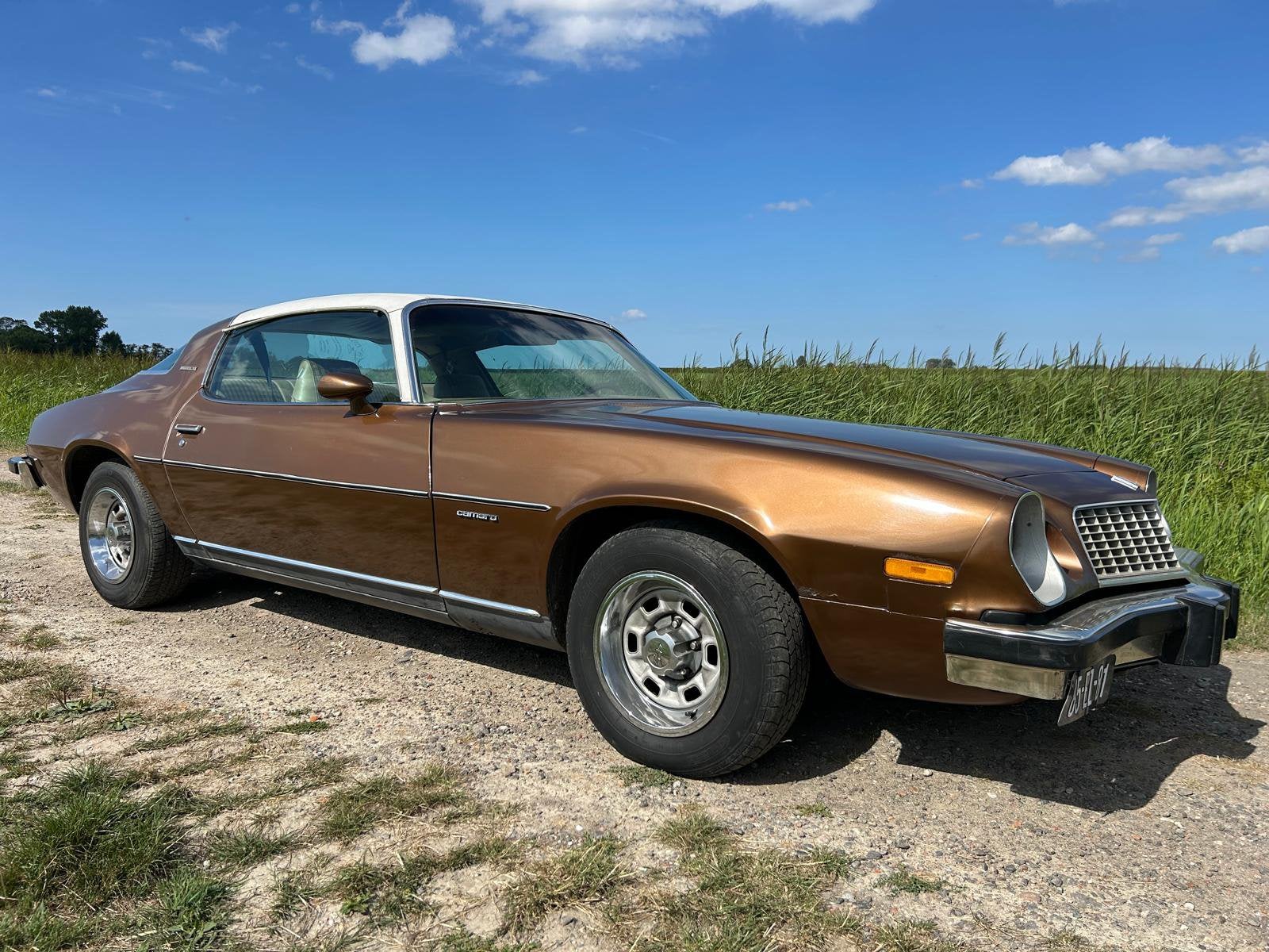 CHEVROLET CAMARO 1975, Automaat, Achterwielaandrijving, 170 pk, Bruin