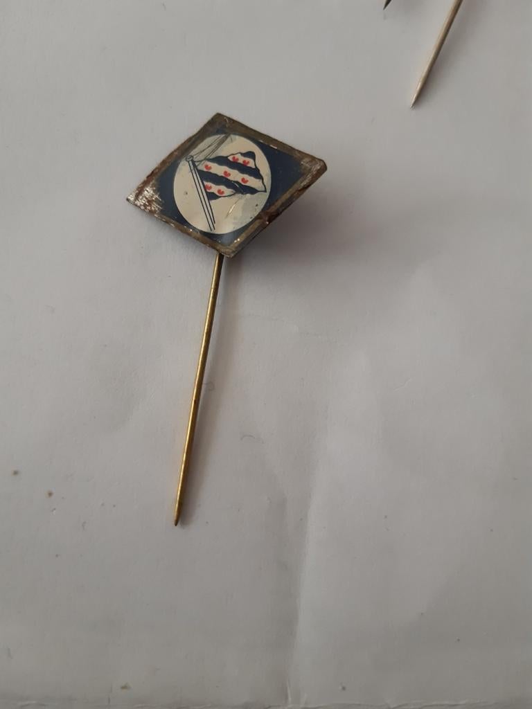 Speldje Friese vlag, Ophalen of Verzenden, Zo goed als nieuw, Merk, Speldje of Pin
