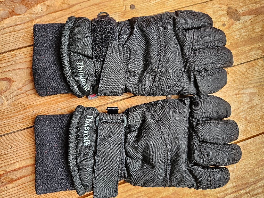 zwarte ski handschoenen, maat 3, Etirel, Maat 38/40 (M), Overige typen, Verzenden, Gedragen