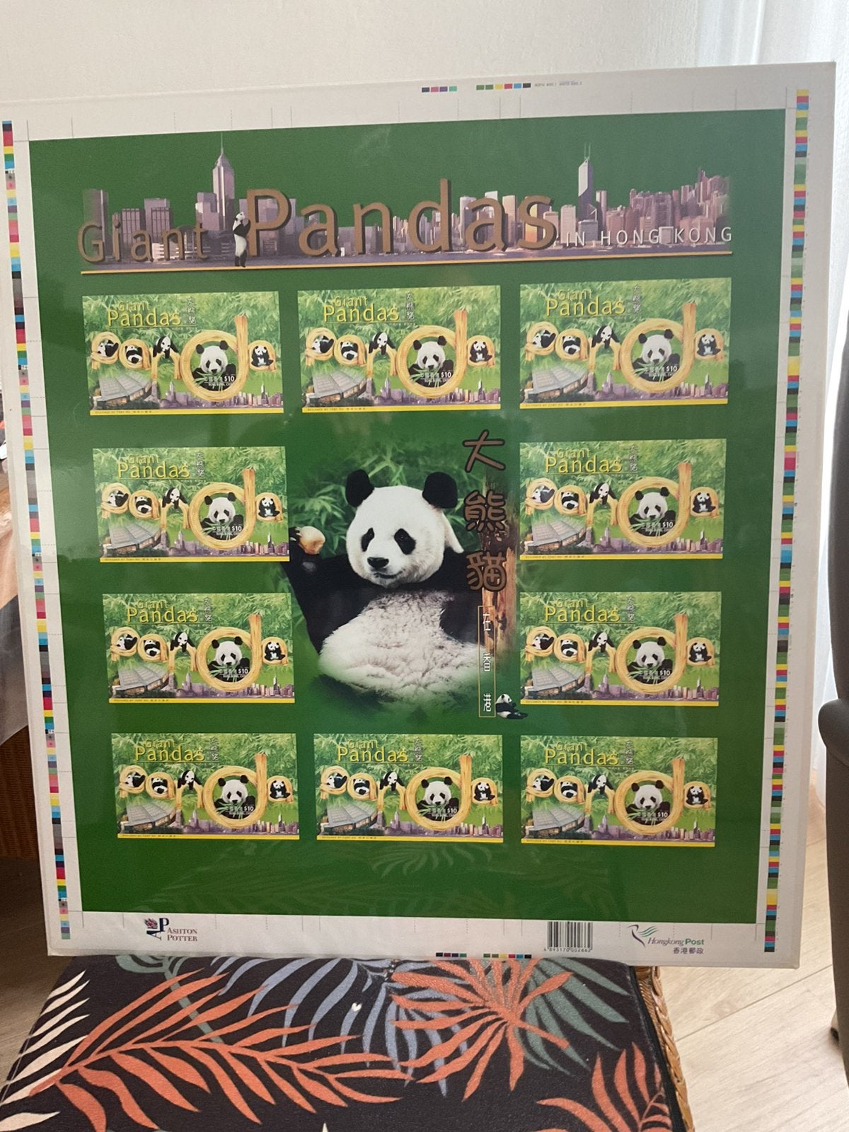 Hong kong panda., Ophalen, Oost-Azië