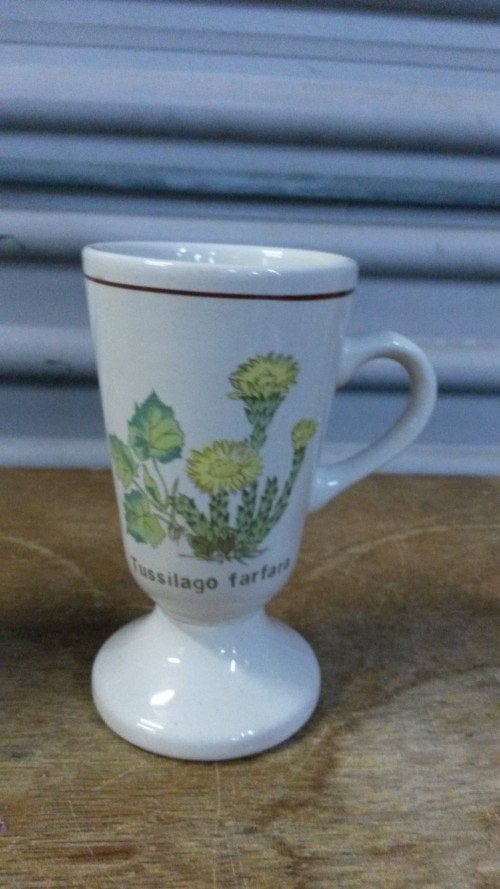 Koffiemokken op voet, 2 stuks met afbeelding: 1x Sambucus Ni, Ophalen of Verzenden, 'T Olde Gre-j, Info@toldegrej.nl, Endepoelstraat 20f Didam
