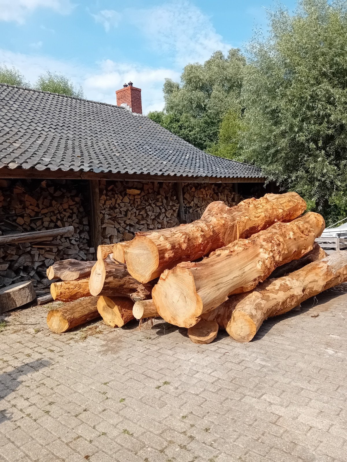 iepen stammen, Tuin en Terras, Haardhout, 6 m³ of meer, Ophalen of Verzenden, Overige houtsoorten, Stammen