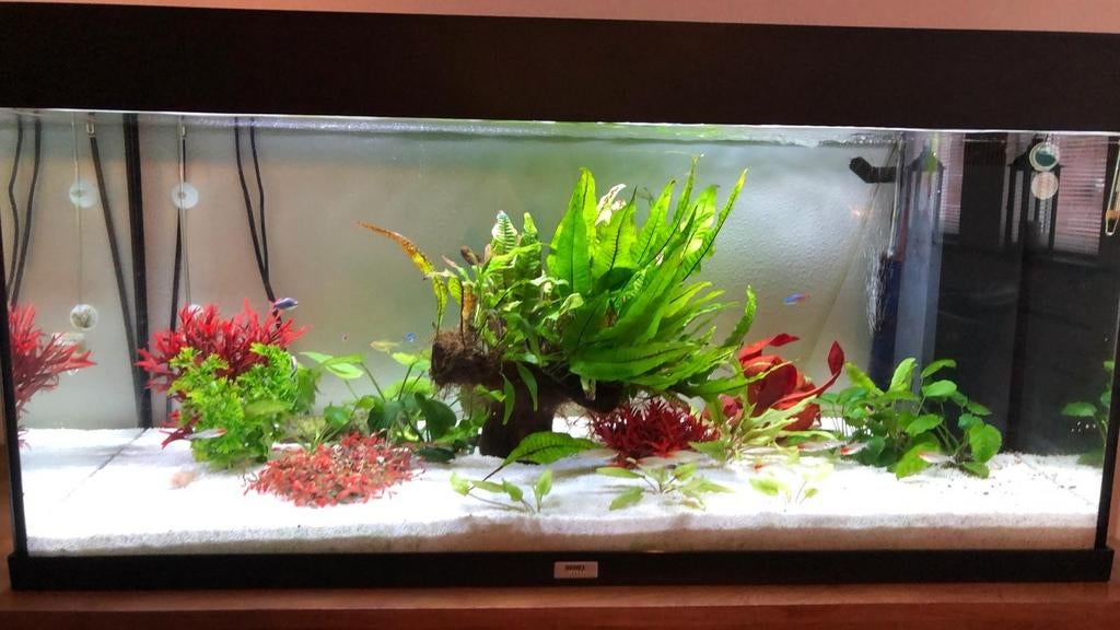 Aquarium van het merk JEWEL., Dieren en Toebehoren, Ophalen, Zo goed als nieuw