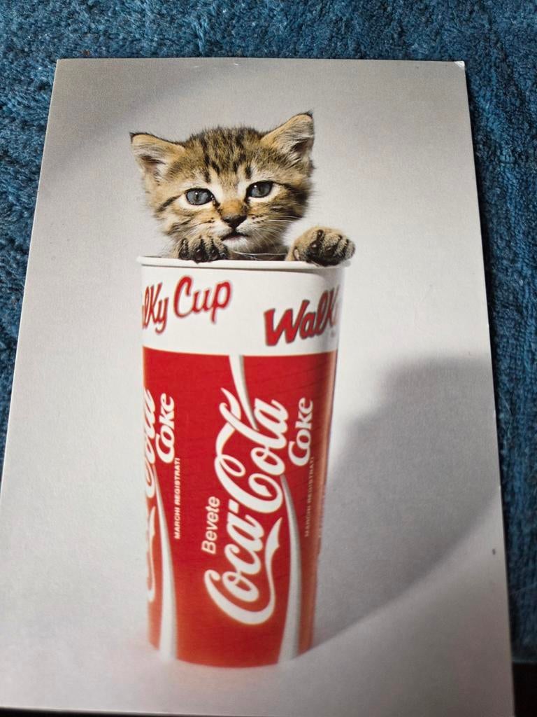 Schattige Coca-Cola Katten Ansichtkaart - Ongelopen, Verzamelen, Ansichtkaarten | Themakaarten, Ophalen of Verzenden